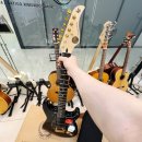 [신규]통기타 이미지