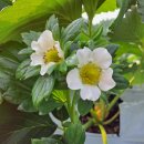 지희농장 이미지