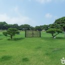 [인천 계양구] 작전시장