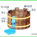 한국춘란의 생장활동을 위한 봄철 비료관리/02(월계난631) 이미지