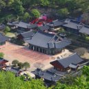 순천-43호 이미지