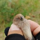 탄포 태양광발전소 이미지