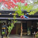 규하우스 | 히타🇯🇵 고토히라 게스트하우스 엔 가족탕 후기, 히타 쿤쵸 양조장, 히타에서 유후인(JR규다이본선)