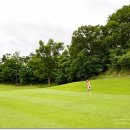 청우그린 이미지