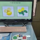 푸른아동발달센터