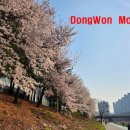 동원카모터스 이미지