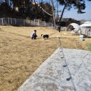 몽몽정원 이미지