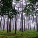 해송공원 이미지