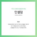 인셀덤 VIP