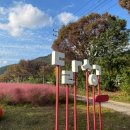 꽃단지 화장실 이미지