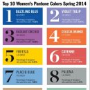 오키드 헤어 이미지