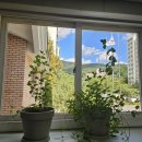 새싹 지역아동센터 이미지