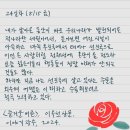 예진기획 | [읽고 쓰고 토론하는 즐거움] 해밀도서관 수업후기(feat.큰글자도서활용프로그램)