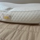 잠자는 숲속의 공주 | 칼로 순환 베개 쓰고 잠자는 숲속의 공주된 후기