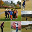 제34차 선운산cc 이미지