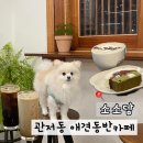 7208 | 대전 관저동 카페 소소담｜애견동반 감성 디저트 맛집 솔직 후기
