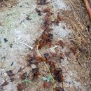 승모농장 이미지