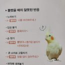 모먹지 네이버블로그