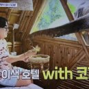 호텔25시 이미지