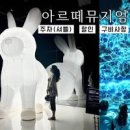 부산 영도 아르떼뮤지엄 실내 데이트 할인 주차 총정리 이미지
