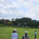 달인동로 이미지