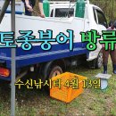 수신낚시터 이미지