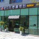 보드미동물병원 이미지