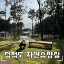 서포리관광지 | 덕적도 자연휴양림 기본정보 휴양관 주변 관광지