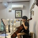 첼로(야간) 이미지