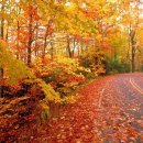 가을이네 이미지