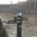 숲실초등학교 이미지