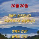 10.20 ♬ Concierto Para Una Voz - Daniela Licari 이미지
