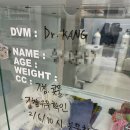 메이 동물병원 이미지