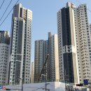 THE행복한공인중개사사무소 네이버블로그