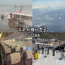 246 | [도쿄] '도쿄 여행 티웨이 TW246' 티웨이 온라인 체크인, 나리타공항 2터미널 출국심사