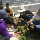 양주도담학교 이미지