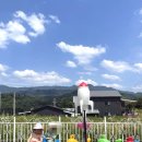 마시멜로키즈풀빌라 이미지