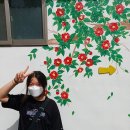 진안여중 이미지