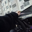 햇빛 | 여름 운전 필수템! 업앤다운 차량햇빛가리개 후기