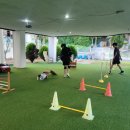 사랑애견펜션 이미지