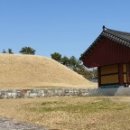 조명군총 이미지