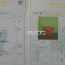 브레인쿡 이미지