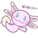 제이씨컴퍼니 이미지