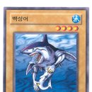 백상어 이미지