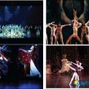 춤으로 여는 세상 이미지