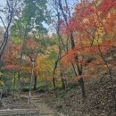 11월11일 화요일 경기방출석부 이미지