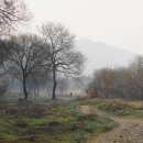 월평공원 습지길 이미지