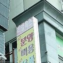 리얼독스쇼룸