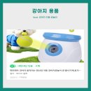 못된 강아지 | 하루 종일 공 물고 오는 우리 집 공또라이 이야기[펫모먼트 강아지 자동 공놀이]