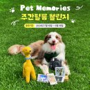 메모리즈
